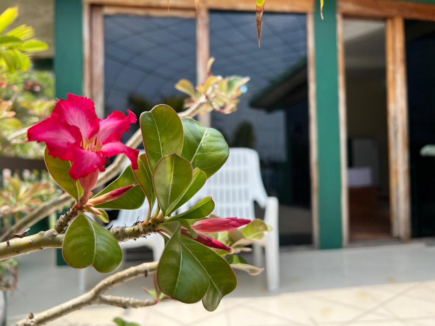 Hin Wong Apartments Dive & Snorkel Resort Ko Tao Zewnętrze zdjęcie